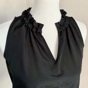 The Limited Ruffle Neckline Top